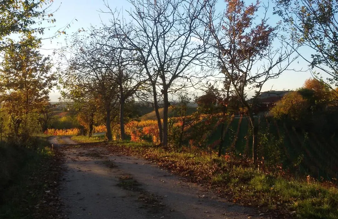 Cascina Torello-1